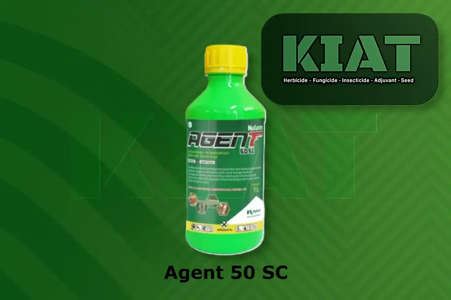 Agent 50 SL
