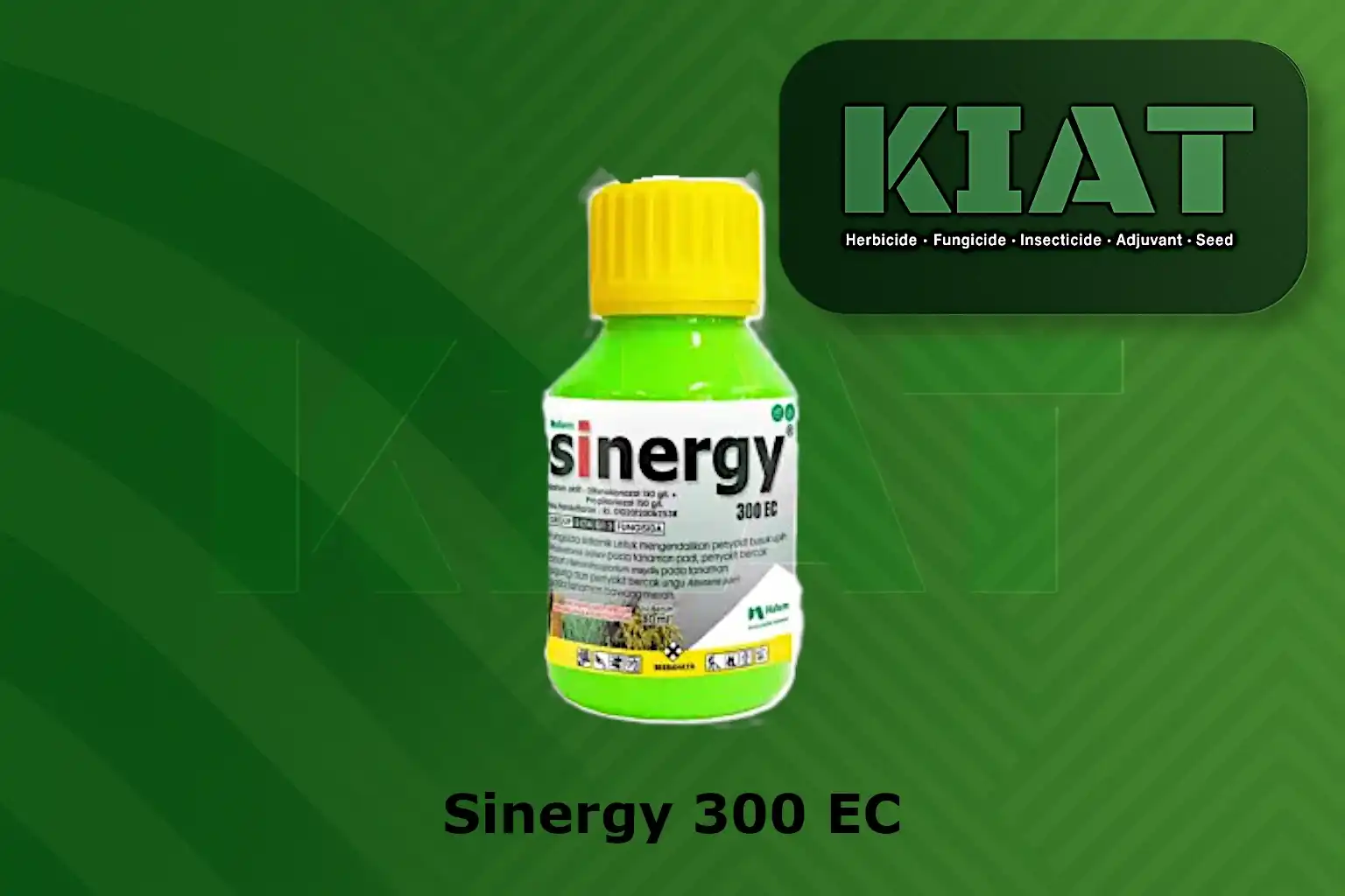 Sinergy 300 EC